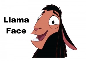 llama face